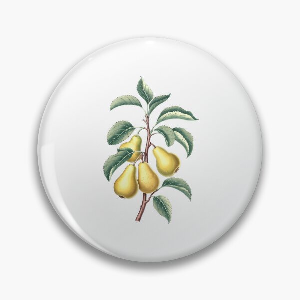 Item preview, Pear fruit | Plant lover | Greenpower | Fruit of the world designed and sold by RedCircleArt.