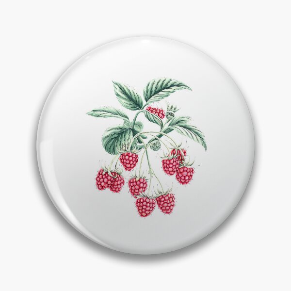 Item preview, Raspberry fruit | Plant lover | Greenpower | Fruit of the world designed and sold by RedCircleArt.