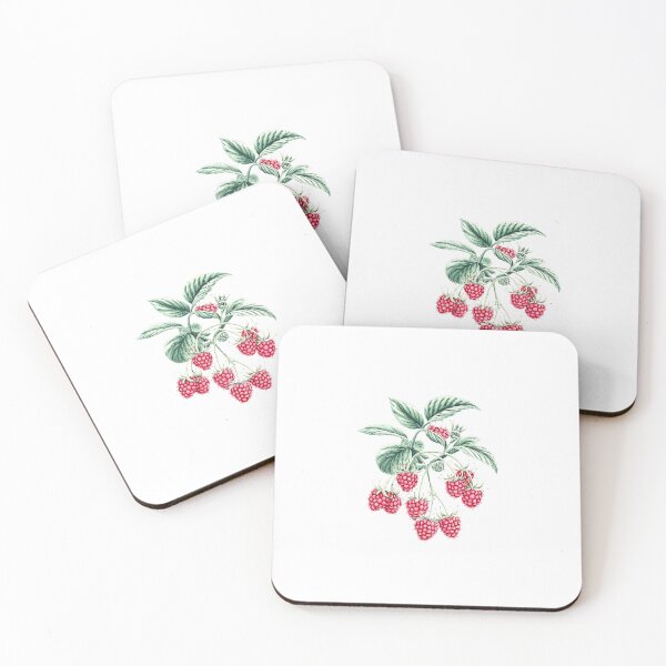 Item preview, Raspberry fruit | Plant lover | Greenpower | Fruit of the world designed and sold by RedCircleArt.
