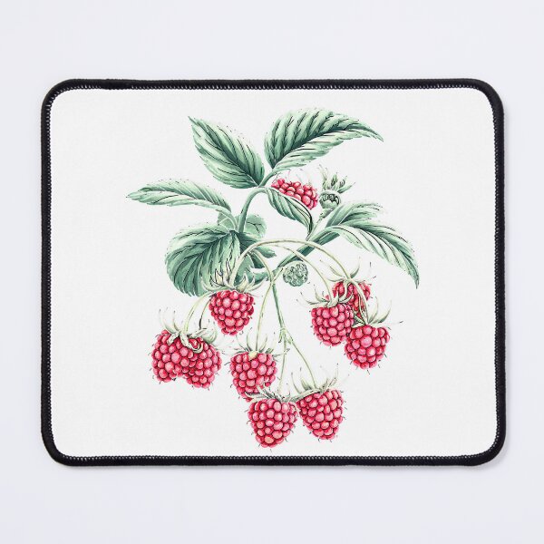 Item preview, Raspberry fruit | Plant lover | Greenpower | Fruit of the world designed and sold by RedCircleArt.