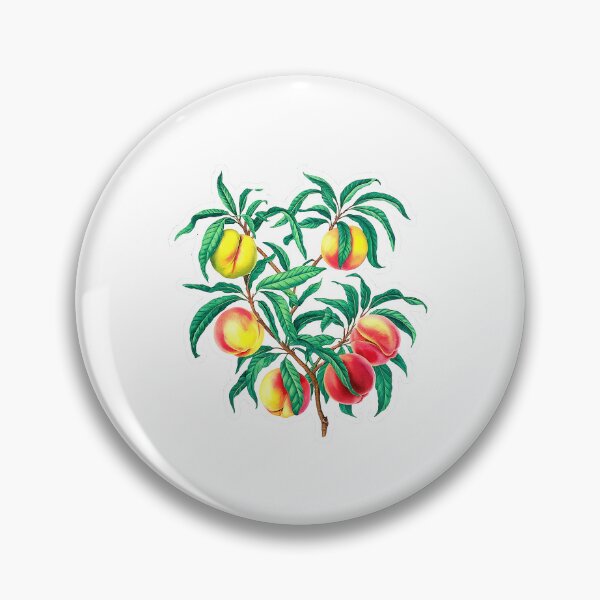 Item preview, Peach fruit | Plant lover | Greenpower | Fruit of the world designed and sold by RedCircleArt.