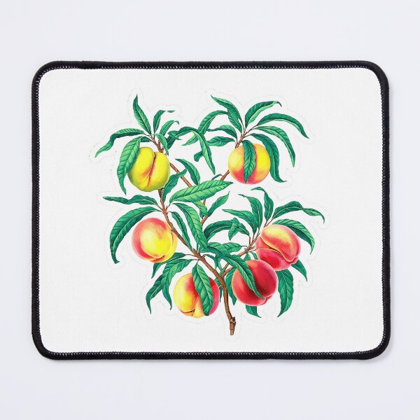 Item preview, Peach fruit | Plant lover | Greenpower | Fruit of the world designed and sold by RedCircleArt.