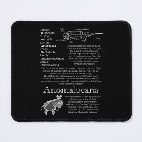 Item preview, Anomalocaris data file designed and sold by AmIAnAngelYet.