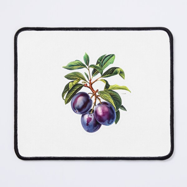 Item preview, Plum fruit | Plant lover | Greenpower | Fruit of the world designed and sold by RedCircleArt.