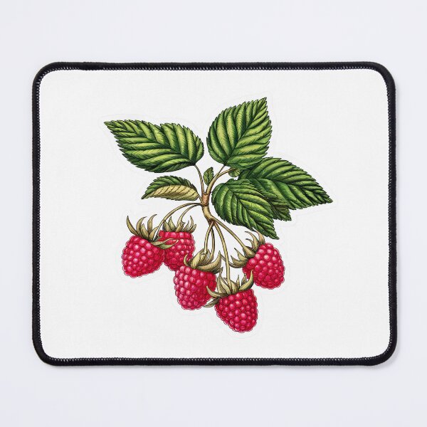 Item preview, Raspberry fruit | Plant lover | Greenpower | Fruit of the world designed and sold by RedCircleArt.