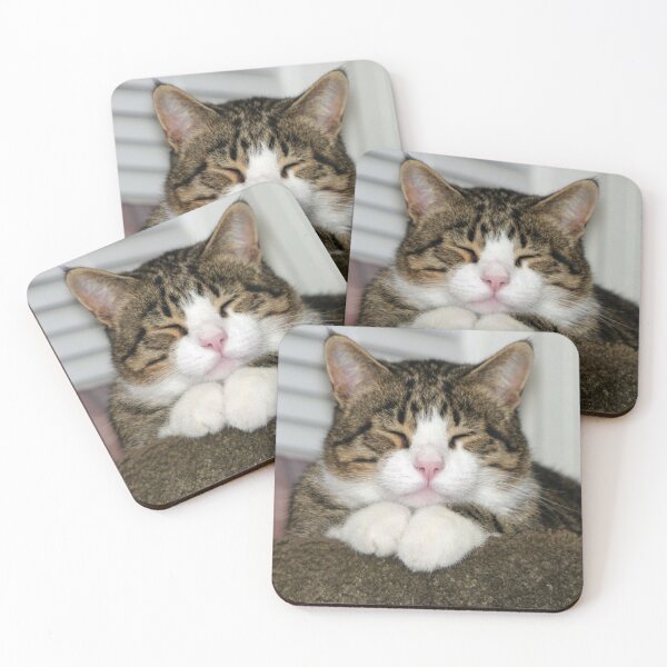 Item preview, Cute Cat designed and sold by Frankie Cat Photography.