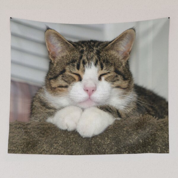 Item preview, Cute Cat designed and sold by Frankie Cat Photography.