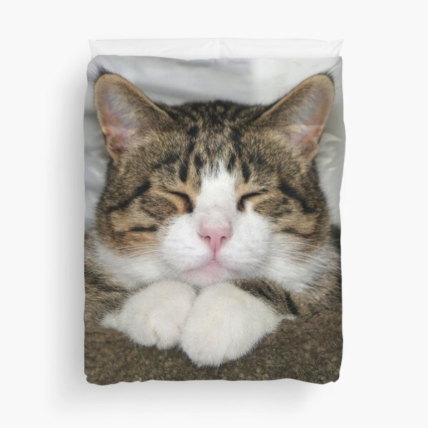 Item preview, Cute Cat designed and sold by Frankie Cat Photography.