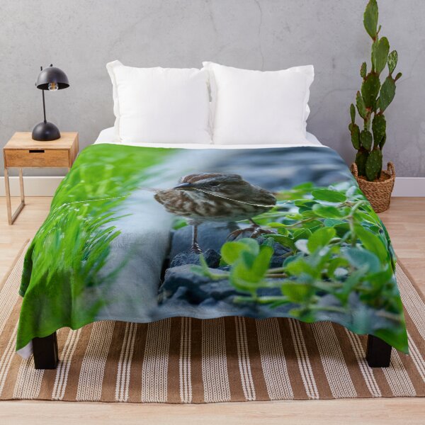 Item preview, Song Sparrow with a blade of grass designed and sold by Cblifeisgood.