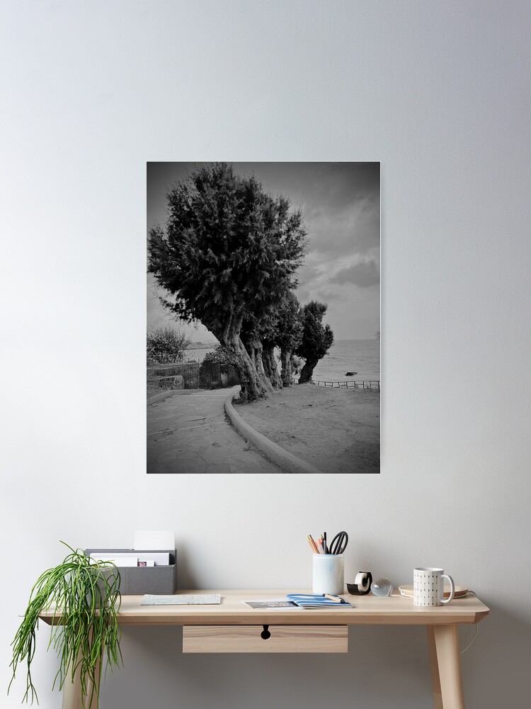 Thumbnail 1 of 3, Poster, trees in a row designed and sold by shopcherry.