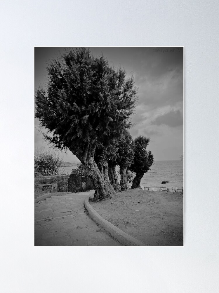 Thumbnail 2 of 3, Poster, trees in a row designed and sold by shopcherry.