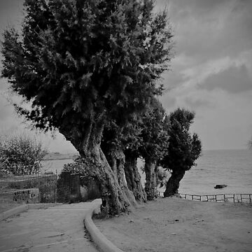Artwork thumbnail, trees in a row by shopcherry