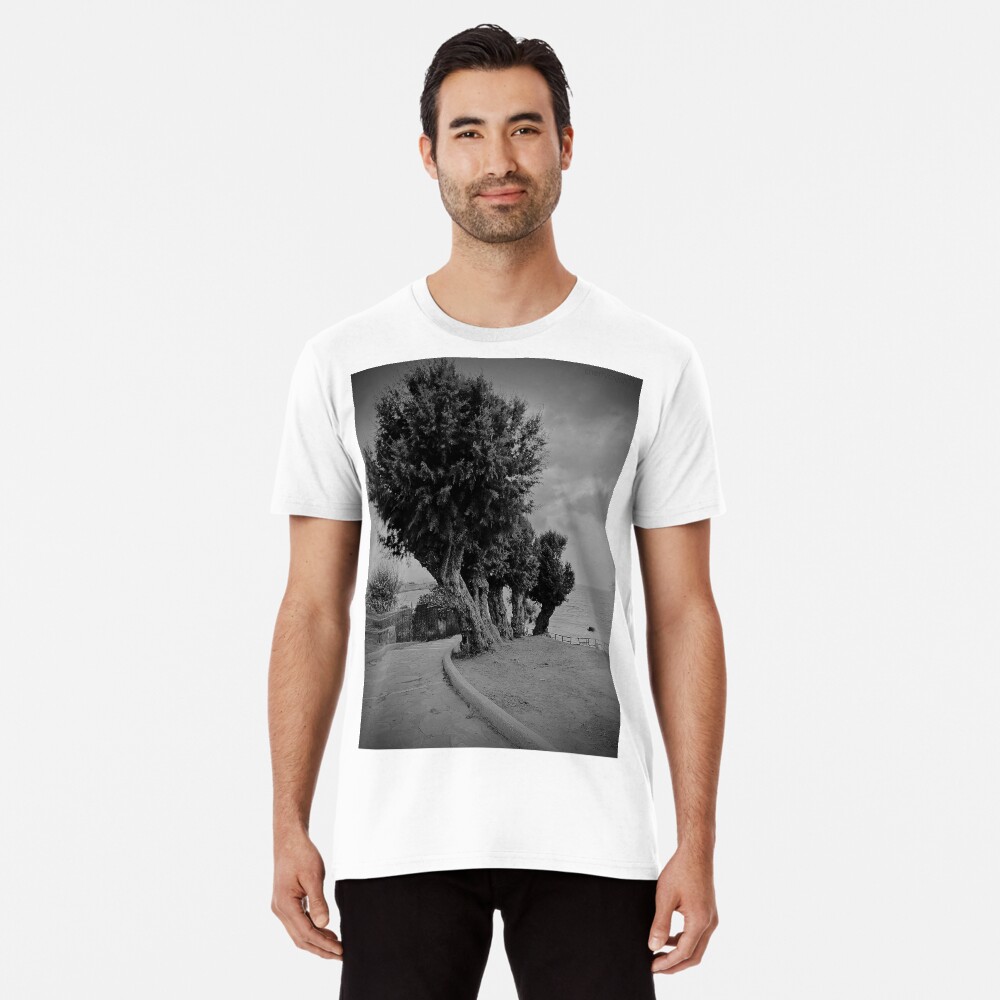 Item preview, Premium T-Shirt designed and sold by shopcherry.