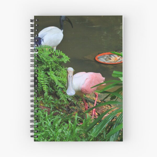 Item preview, Roseate spoonbill at the zoo designed and sold by FranWest.