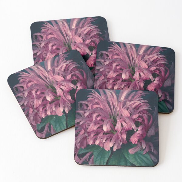 Item preview, Justicia carnea designed and sold by robdanimalphotography.