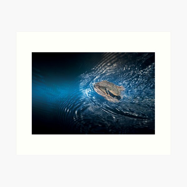 Item preview, Eastern Water Dragon Swimming designed and sold by robdwildlife.