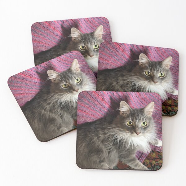 Item preview, Beautiful Medium-Haired Cat Photo designed and sold by TangledNonsense.