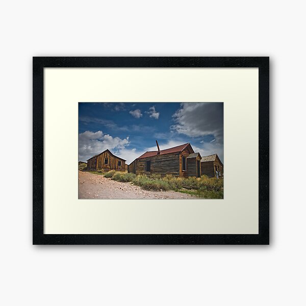 Arrested Decay Framed Art Print
