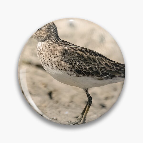 Item preview, White-rumped Sandpiper designed and sold by CarolM.