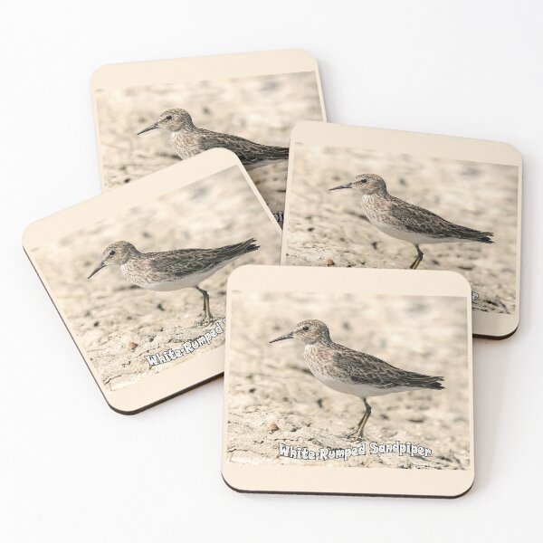 Item preview, White-rumped Sandpiper designed and sold by CarolM.