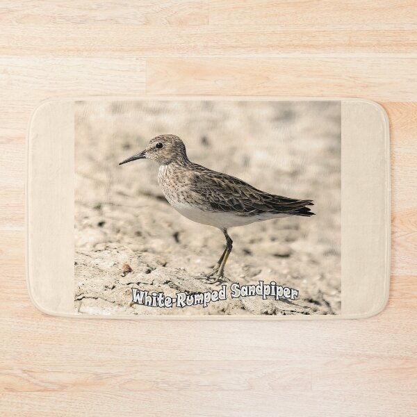 Item preview, White-rumped Sandpiper designed and sold by CarolM.