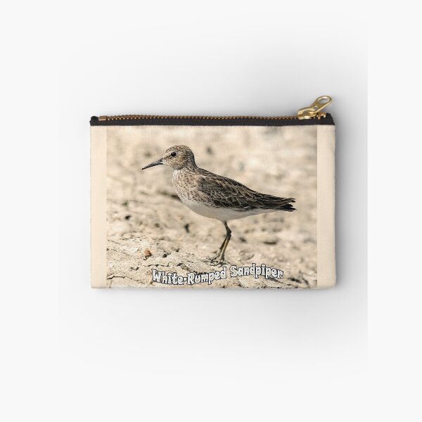 Item preview, White-rumped Sandpiper designed and sold by CarolM.