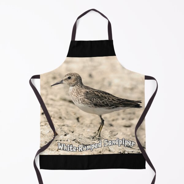Item preview, White-rumped Sandpiper designed and sold by CarolM.