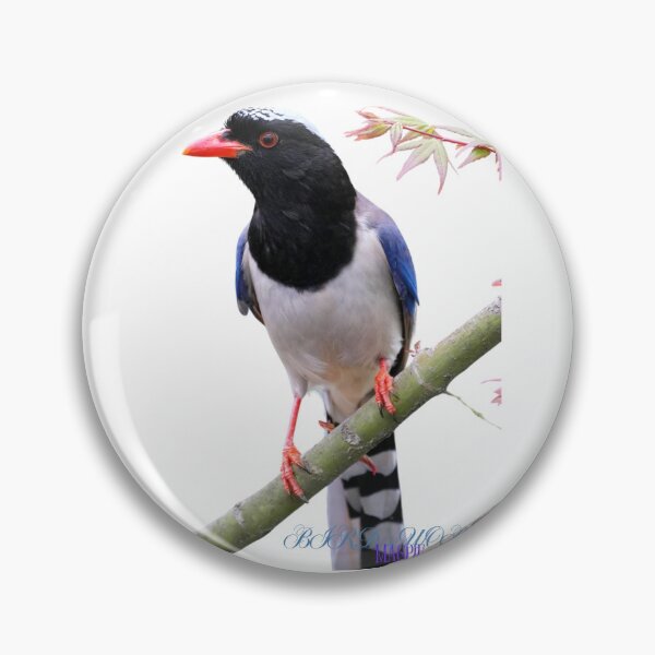 Artikelvorschau, Elster Vogel entworfen und verkauft von NG4ever.