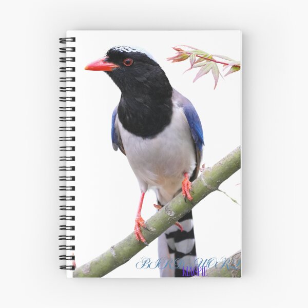 Item preview, magpie bird designed and sold by NG4ever.