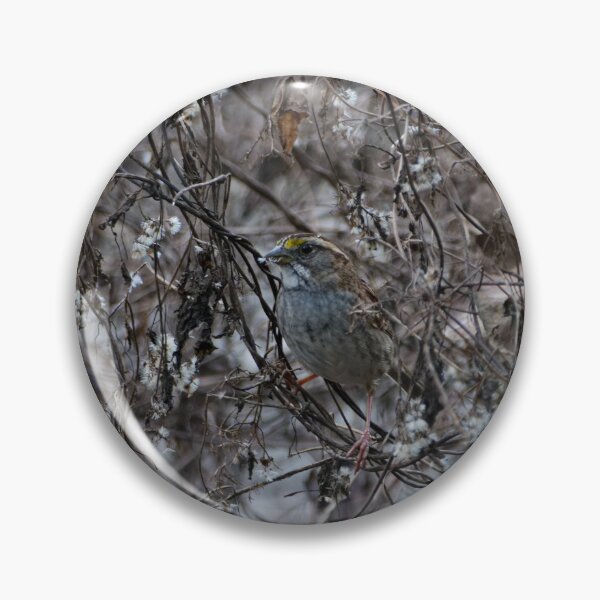 Aperçu de l'œuvre Camouflage du moineau à gorge blanche créée et vendue par CretaceousCreatures.