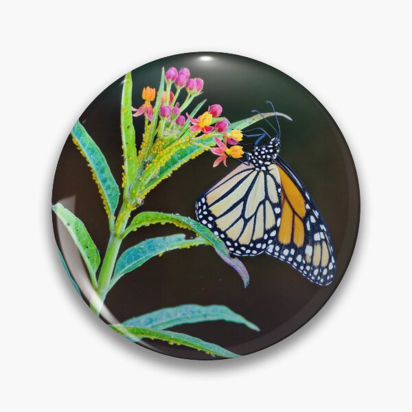 Aperçu de l'œuvre Papillon monarque sur asclépiade créée et vendue par CretaceousCreatures.