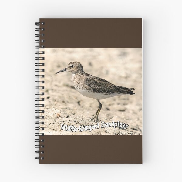 Item preview, White-rumped Sandpiper designed and sold by CarolM.