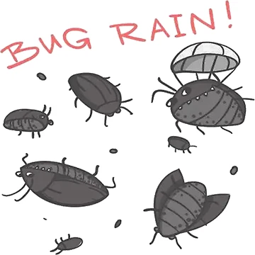 Artwork thumbnail, Python Programming, Bugs rain Python Programming  by vectcd