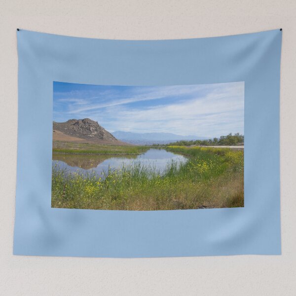 Item preview, San Jacinto Wildlife Area designed and sold by CarolM.