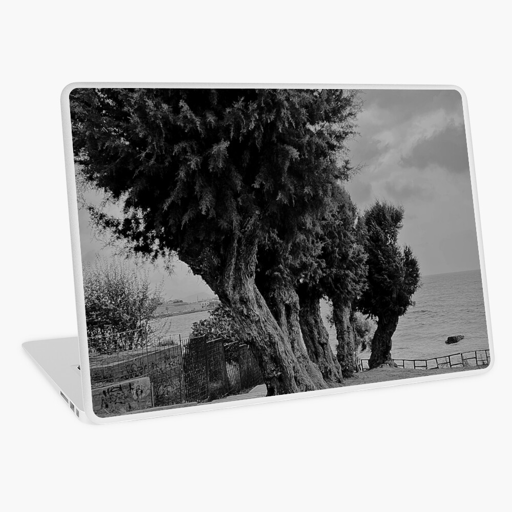 Item preview, Laptop Skin designed and sold by shopcherry.
