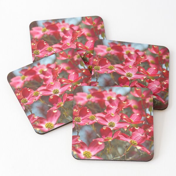 Item preview, Dogwood Flowers Has Many Delights designed and sold by Joy Watson - Natural Light Photography .