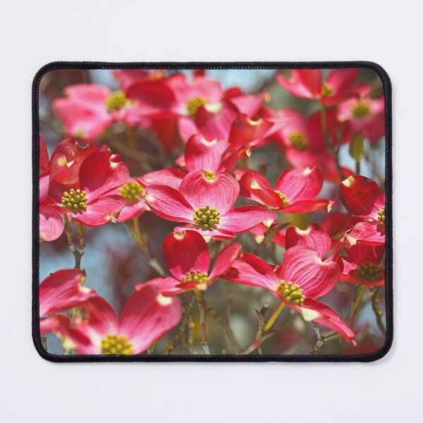 Item preview, Dogwood Flowers Has Many Delights designed and sold by Joy Watson - Natural Light Photography .