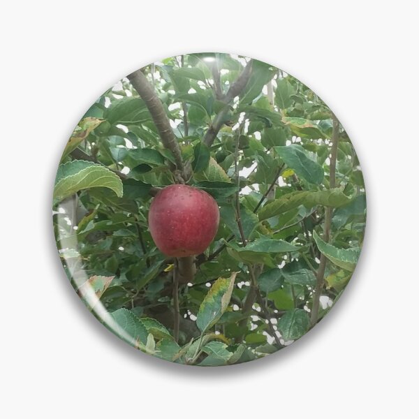 Item preview, Apple of my Eye designed and sold by Made2Print.