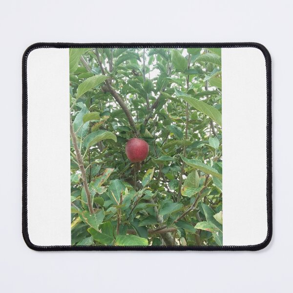 Item preview, Apple of my Eye designed and sold by Made2Print.