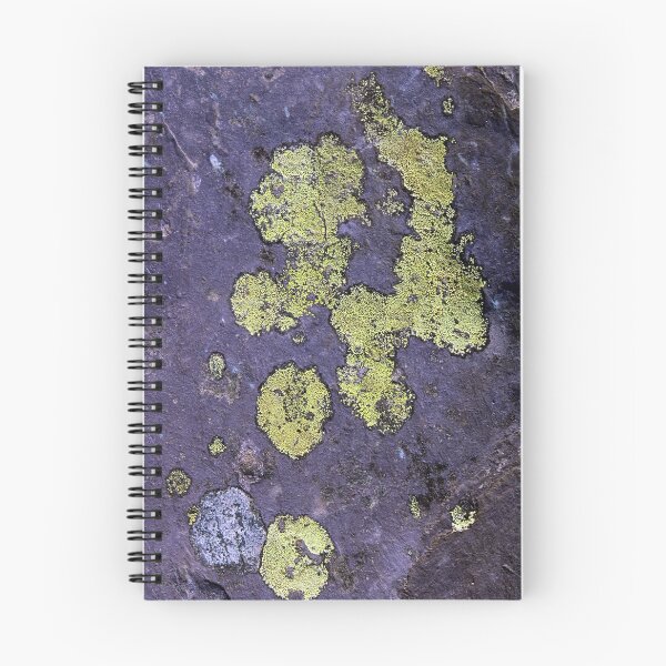 Item preview, lichen  designed and sold by KathleenDawson.