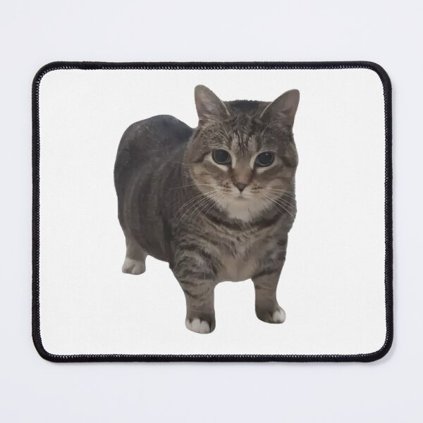 Item preview, OIIA CAT spinning funny trend meme designed and sold by NovaCarter.