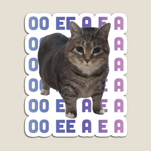 Item preview, OIIA CAT spinning funny trend meme designed and sold by NovaCarter.