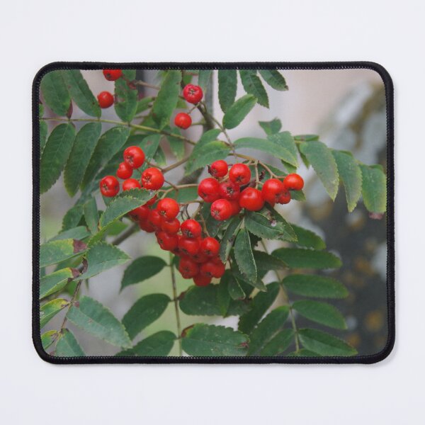 Item preview, Rowan Berries designed and sold by lezvee.