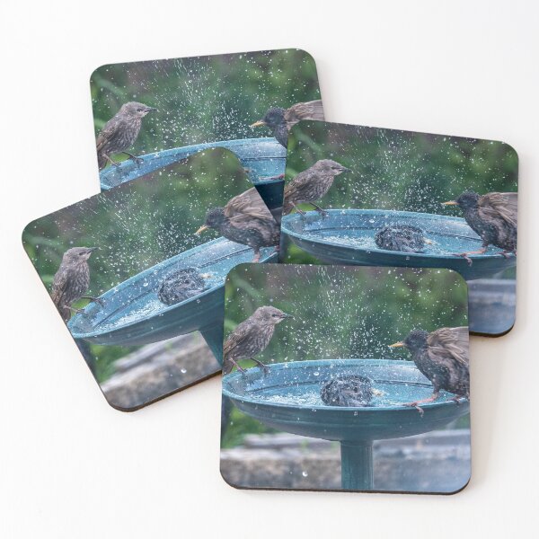Item preview, Birds splashing around in a bird bath designed and sold by David Patterson.