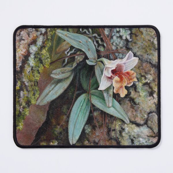 Item preview, Pine forest orchid (Dendrobium bellatulum). designed and sold by Anna Ratkevich.