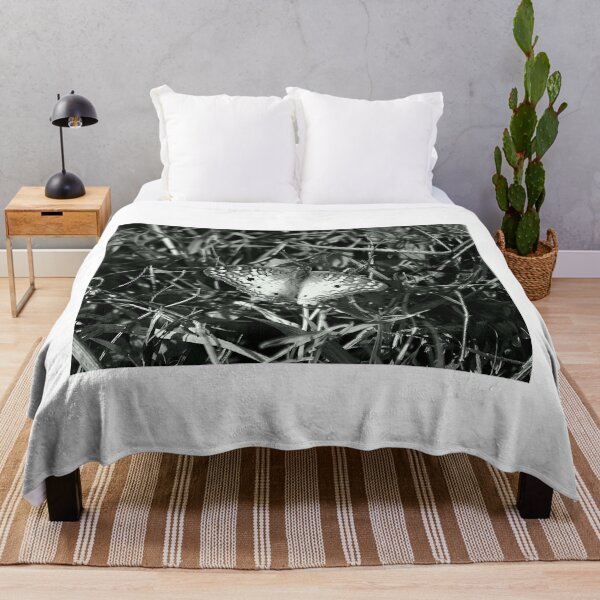 Item preview, Apopka Wildlife Drive White Peacock Butterfly Monochrome designed and sold by MercerImages.