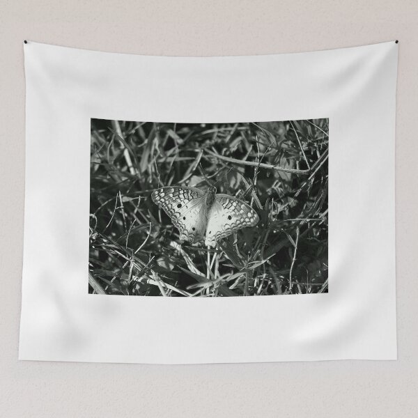 Item preview,  Apopka Wildlife Drive White Peacock Butterfly Monochrome designed and sold by MercerImages.