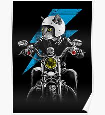 Biker Cat Poster