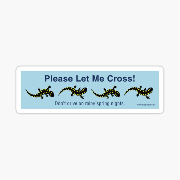Item preview, Maine Big Night: Please Let Me Cross_Blue Sticker designed and sold by Maine Big Night.