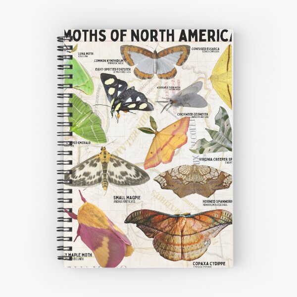 Item preview, Lepidoptera of North America Science Moth Vintage Map Diagram  designed and sold by wesleykshaver.